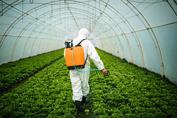 Professional Pest Control in Roodhouse, IL