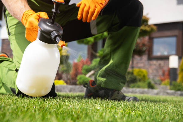 Best Cockroach Control Services  in Roodhouse, IL
