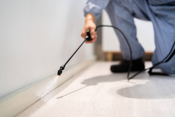 Professional Pest Control in Roodhouse, IL