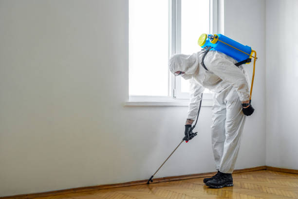 Best Pest Removal Services  in Roodhouse, IL