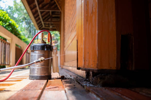 Best Exterminator Services  in Roodhouse, IL