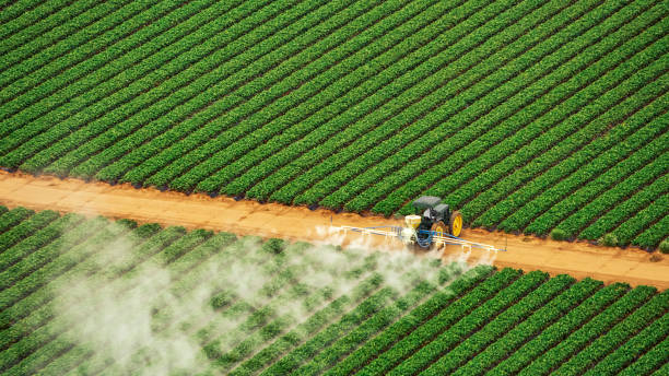 Insect Control in Roodhouse, IL