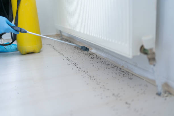 Best Pest Control Near Me  in Roodhouse, IL